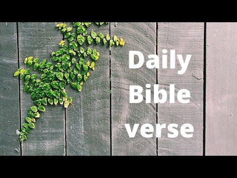 daily bible verse - Philemon 1:18 .. be gracious to everyone