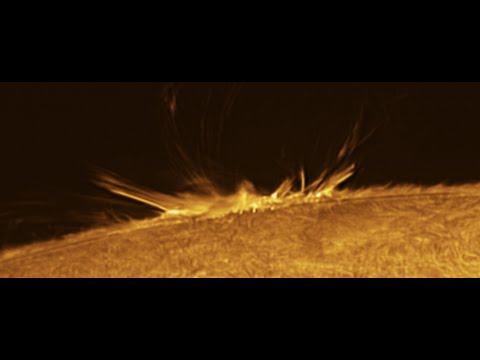 ARISE!!! STAND UP!!! (Mark 5:41 & Daniel 12:1-3)