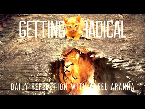 Daily Reflection with Aneel Aranha | Matthew 10:37-42 | June 28, 2020