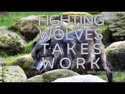 Fighting Wolves Takes Work - Revelation 2:1-3