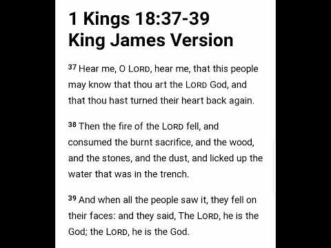 Bible Verse - Day 136 - 1 KINGS 18:37-39 KJV