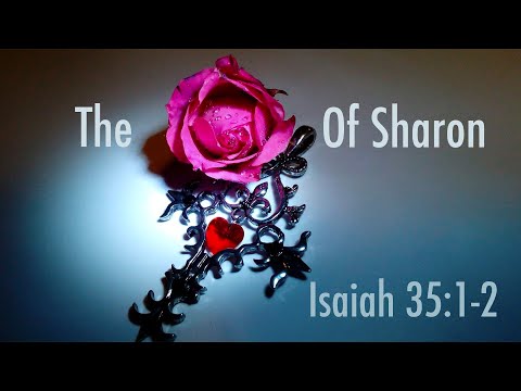 The Rose Of Sharon - Isaiah 35:1-2