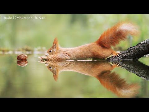 Lectio Divina - Psalm 21:8-13