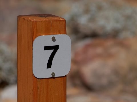 Resistance to Coercion (Deuteronomy 5:12-14)