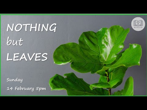 Nothing But Leaves (Mark 11:12-14, 20-21)