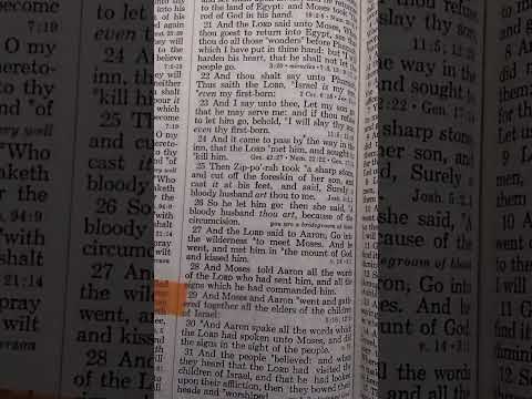 Exodus 4:29 Governments of the Bible