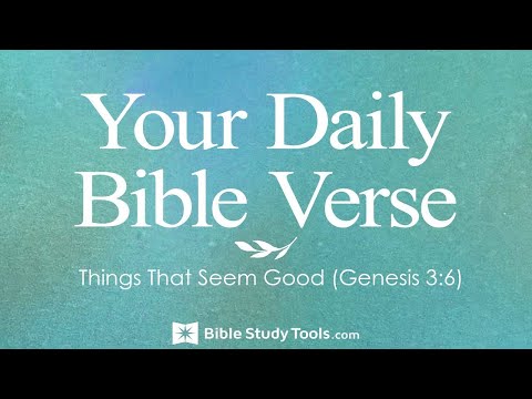 Things That Seem Good (Genesis 3:6)