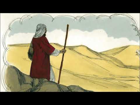 Sharanahua - Luke 10:25-37 “The Good Samaritan” [mcd]