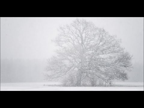 (Snowstorm Service) John 7:32-38 "Ye shall seek me, and shall not find me" - #ChristianCoffeeTime