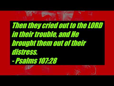 Psalms 107:28
