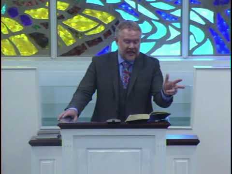 Was There a World Wide Flood? (Genesis 7:17-24)