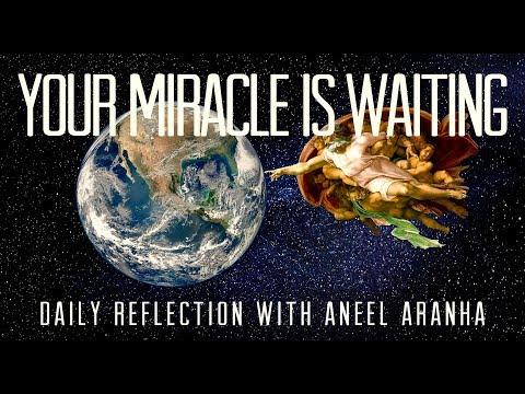 Daily Reflection With Aneel Aranha | John 4:43-54 | April 1, 2019