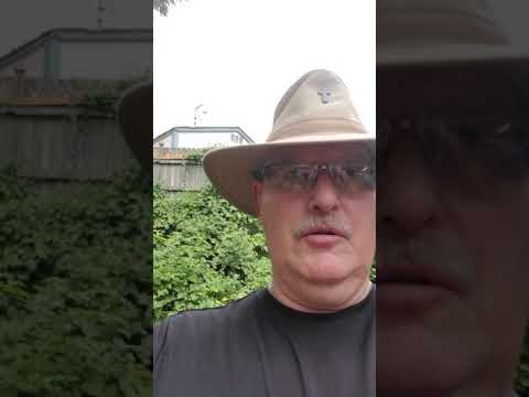 Deliver me from Guilt,  Psalm 51:14