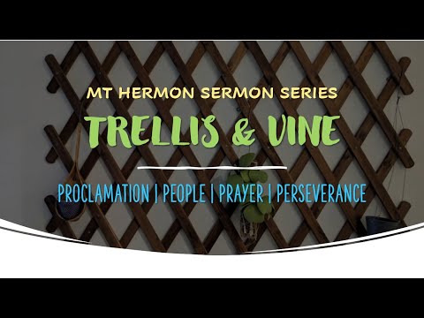 30 Jan 2022 | Philippians 1:1-11 | Perseverance in the Task | Ps Daniel Tan