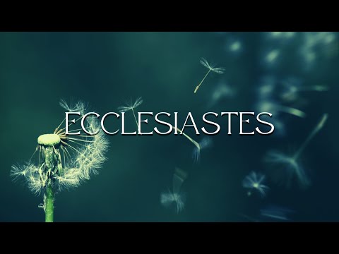 Ecclesiastes 4:1-6 - The ‘Anomalies’ of Sovereignty (part 2) – Oppression & Envy