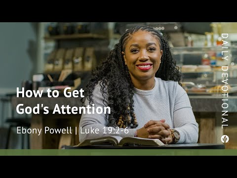 How to Get God’s Attention | Luke 19:2–6 | Our Daily Bread Video Devotional