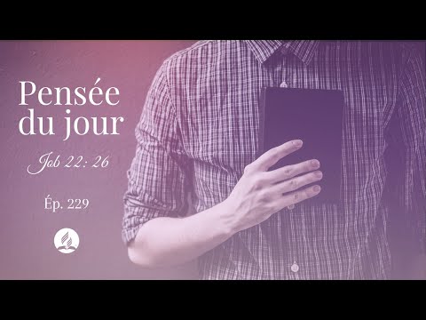 229 - Pensée du jour - Job 22: 26