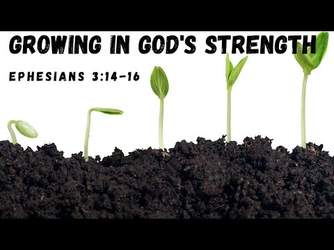 Growing in God's Strength | Ephesians 3:14-16