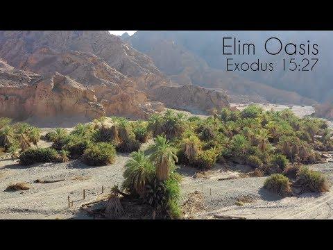 Elim Oasis In Arabia ~ Exodus 15:27