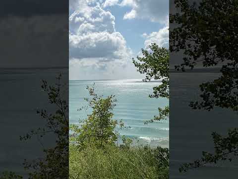 404.  Coffee Break (express) A parents most important duty.