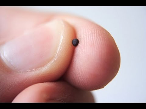 The Mustard Seed or The Secret Working of the Kingdom of God - Luke 13:18-19 - Pastor Troy Dukes