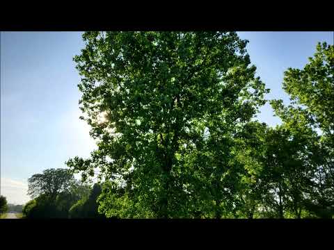 Coffee Break (5 Minutes with God) Psalm 106:31-33