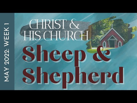 Tuesday Morning Devotion: Sheep & Shepherd (Ezekiel 34:11-16)