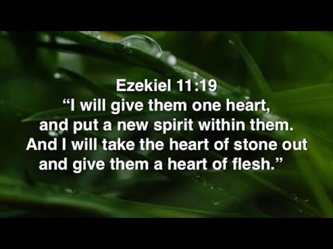 Ezekiel 11:19 (Promise)