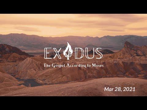 Exodus - A Thriving Community (Exodus 17:8-28:27)