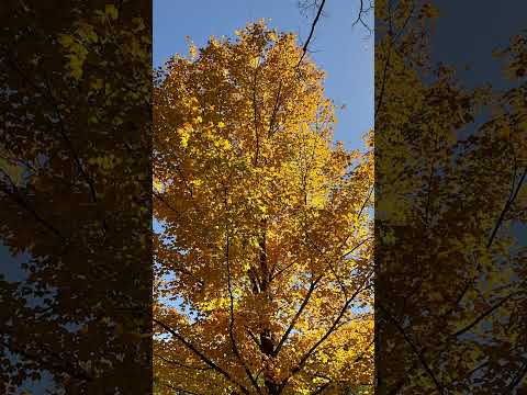 388.  Coffee Break (express) God watches you to know what He needs to do for you.