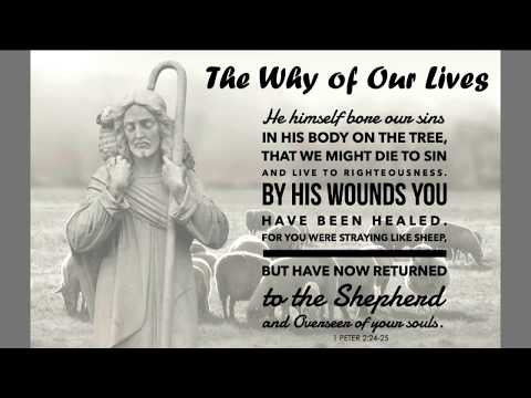 The Why of Our Lives - 1 Peter 2:24-25