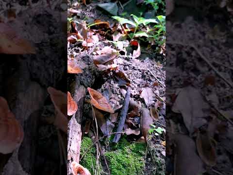 A reading of 2 Timothy 1:7, 9 from the New Living Translation