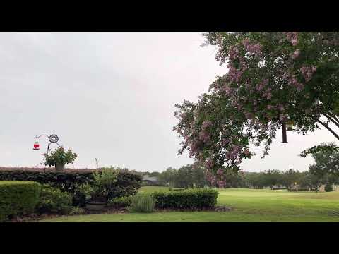 Day 184~ July 3~ 2 Kings 22:3-23:30, Acts 21:37-22:16, Psalm 1:1-6, Proverbs 18:11-12