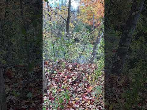 387.  Coffee Break (express) Fear God and you won’t fear anyone else.