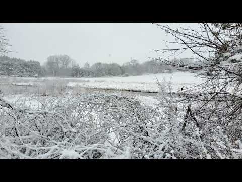 Coffee Break (5 minutes with God) James 1:1