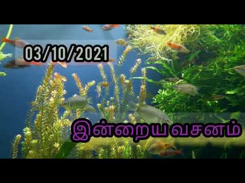 Karthar Kannokinaar | Today's Word - Exodus 2:25,| 3/10/2021|