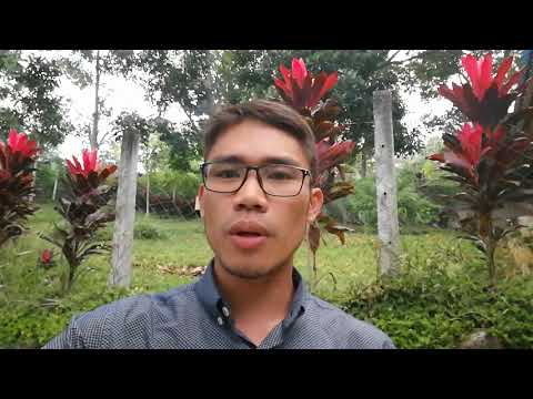 Don't Rely On Your Own! (Luke 7:1-10 Brief Reflection)