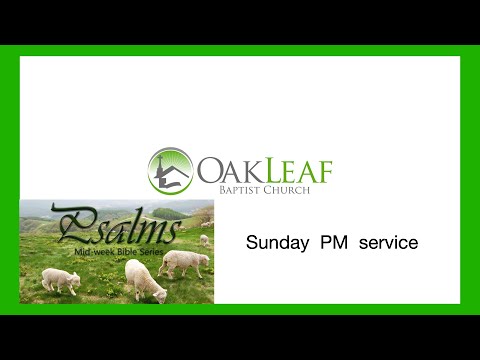 Psalm 144:1 - 15  |"A Psalm of Praise and Trust" | May 2, 2021 PM | Dr Robert Ball | Oakleaf Baptist
