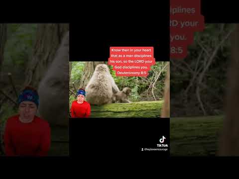 Deuteronomy 8:5????How I allow the HolySpirit to apply Gods word to my Everyday life????