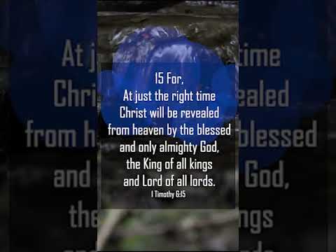 A reading of 1 Timothy 6:15-16 from the New Living Translation