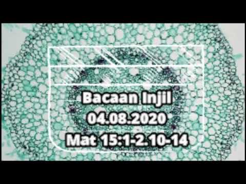 Gospel Reading August 04th,2020 Matthew 15:1-2;10-14