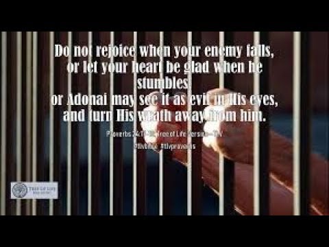 Daily Proverb: Don't Rejoice When Your Enemy Falls (Proverbs 24:17-18)