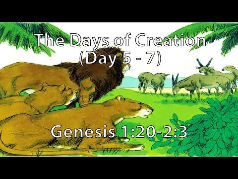 The Days of Creation 5-7 | Genesis 1:20-2:3 | Study of Genesis