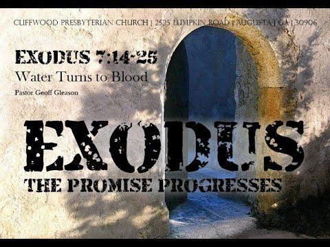 Exodus 7:14-25  "Water Turns to Blood"