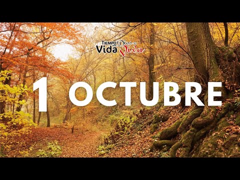 Tu tiempo con Dios 1 de Octubre de 2022 (Genesis 30:1-13)