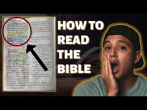 How to Study the Bible In Hebrews 2:16-17 | Bible Study For Beginners
