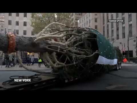 Jeremiah 10:1-5  Rockefeller Christmas tree decaying and falling apart