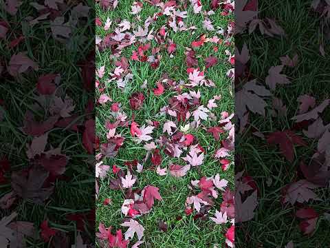 402.  Coffee Break (express) Put God first and He will take care of the rest for you.