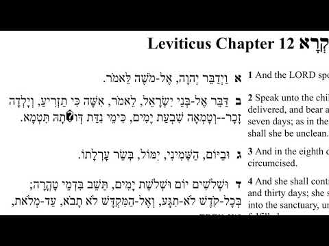 Leviticus 12:1-3 (Tazria) in Hebrew