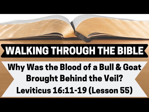 Why Was the Blood of a Bull & Goat Brought Behind the Veil? [Leviticus 16:11-19][Lesson 55][WTTB]